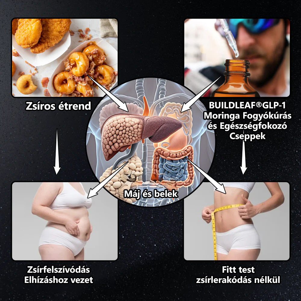 💥A Magyar Orvosi Kamara hivatalos ajánlásával 💥 | Klymoza® GLP-1 Karcsúsító és Energizáló Gyógynövényes Cseppek